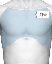 인체 가슴 부분